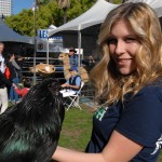 4-H and FFA members showed chickens, rabbits, pigs and other project animals