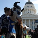 Welcome to the State Cowpital!