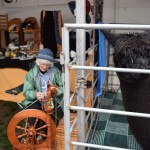 The Calpaca (California Alpaca Breeders Association) booth