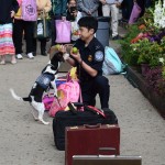 A trained beagle with his handler