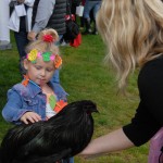 A little girl pets a black chicken on Ag Day